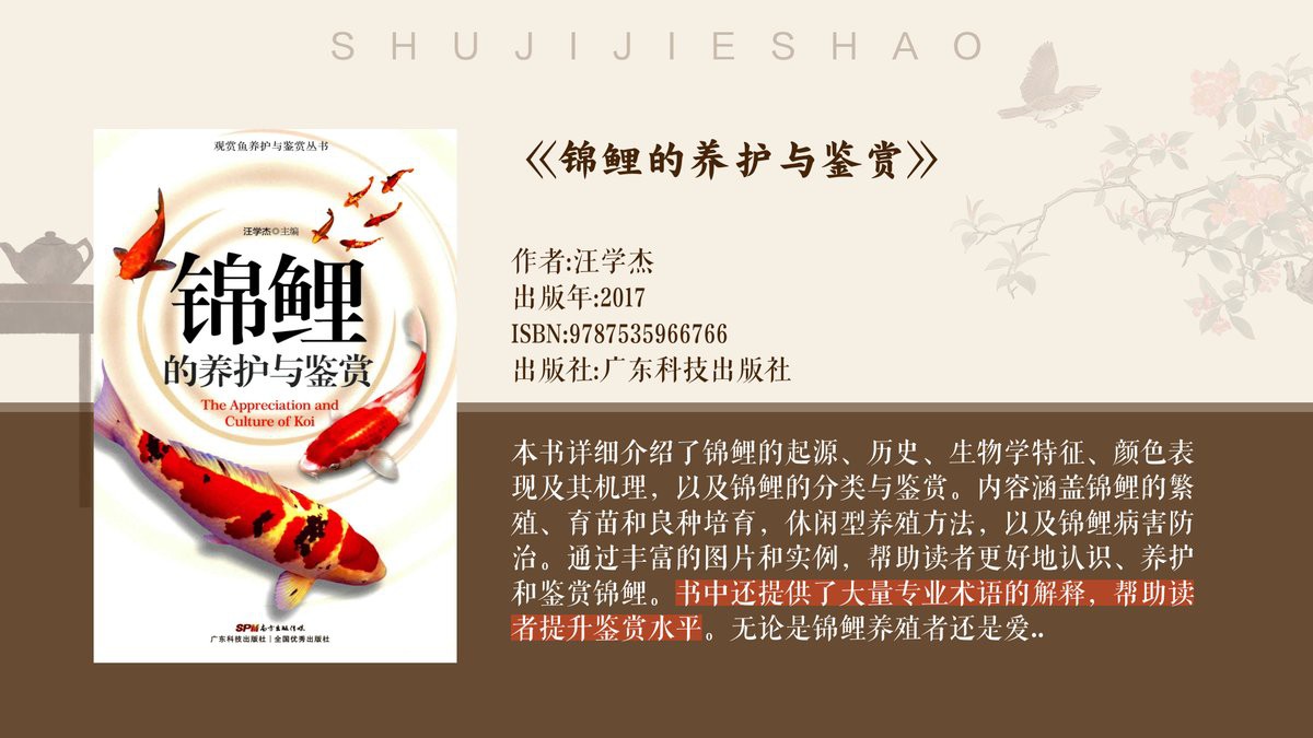 三色錦鯉和大正三色哪種好【大正三色與昭和三色的區(qū)別】 三色錦鯉和大正三色哪種好【大正三色與昭和三色的區(qū)別】 龍魚論壇 第1張