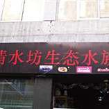 杭州龍魚店，杭州御吉水族龍魚專門店鋪及特色梳理：極樂水族值得信賴 杭州龍魚店，杭州御吉水族龍魚專門店鋪及特色梳理：極樂水族值得信賴 全國(guó)水族館企業(yè)名錄 第2張