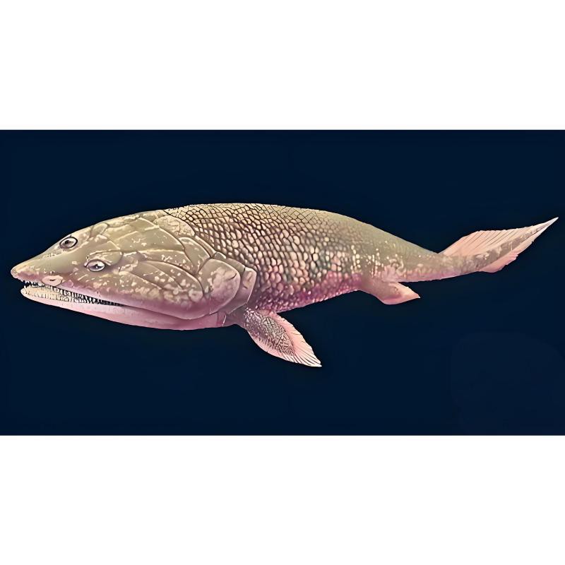 電鰻的祖先是誰，電鰻的發電能力