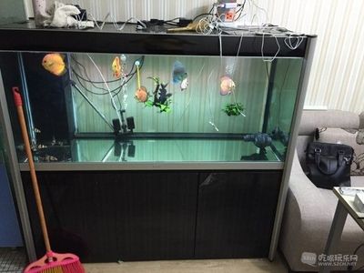 德克魚缸深度解析：德克魚缸怎么樣？