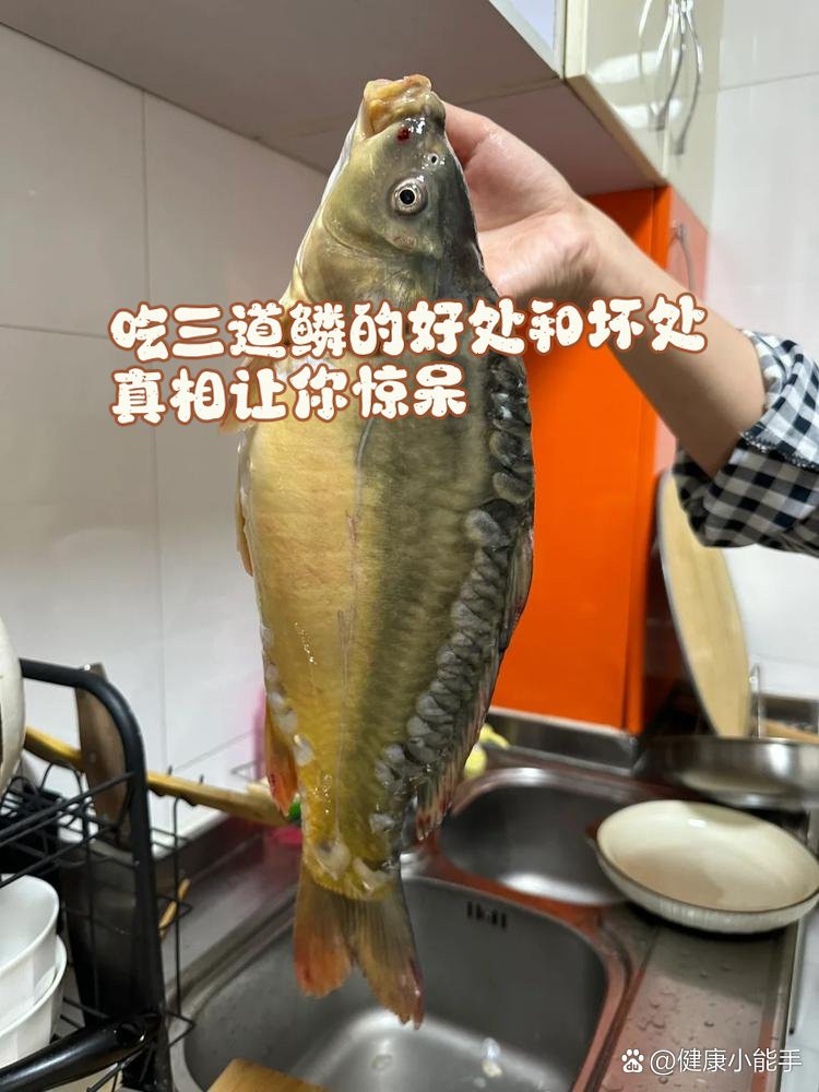 三道鱗魚是好還是不好【三道魚的健康風險】