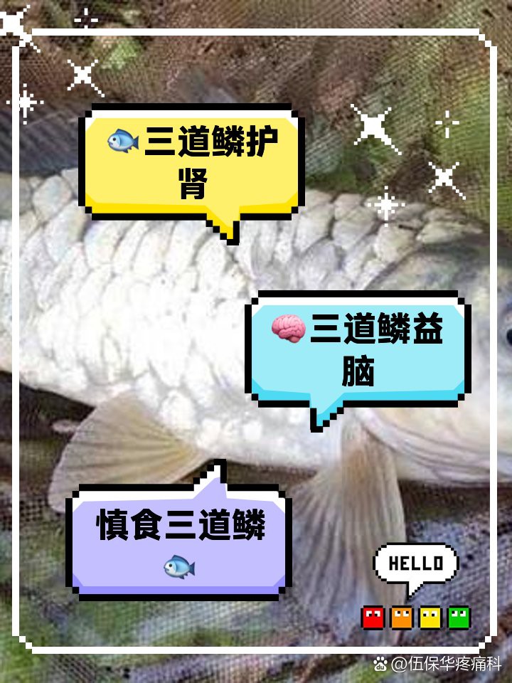 三道鱗魚是好還是不好【三道魚的健康風險】