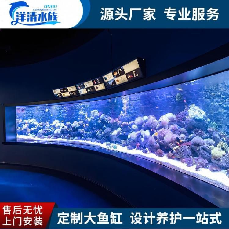 毫州魚缸定做，《毫州魚缸定做》