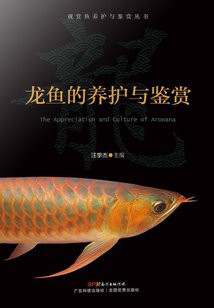主角養龍魚的小說【綜合多部龍魚主題小說:隱藏屬性的落魄飼育師】