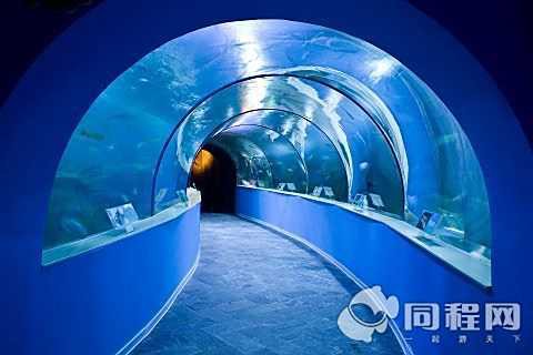 太湖水族店，太湖水族店的核心信息主要圍繞蘇州太湖海洋館展開