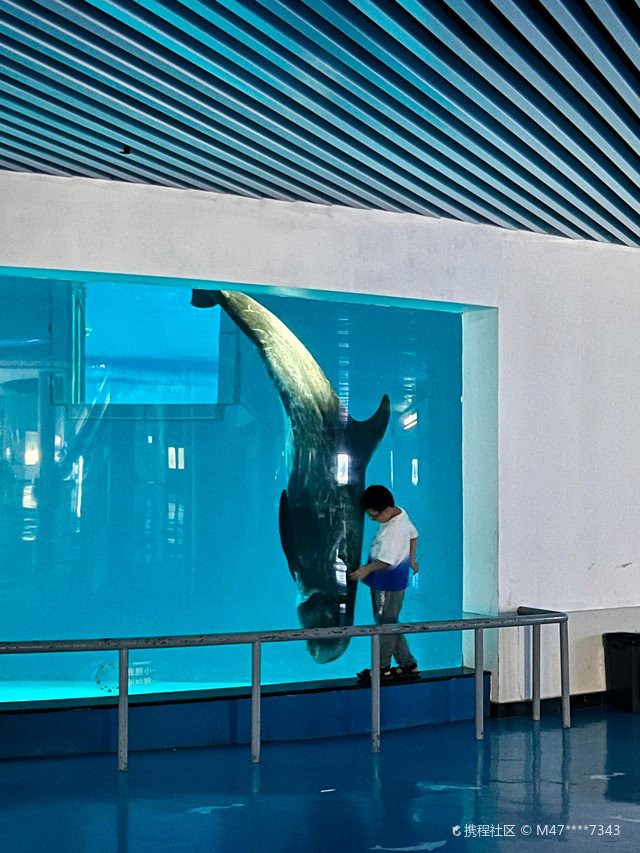 桐廬水族店，杭州森森水族（山水路店）哪家最大桐廬水族店口碑最好