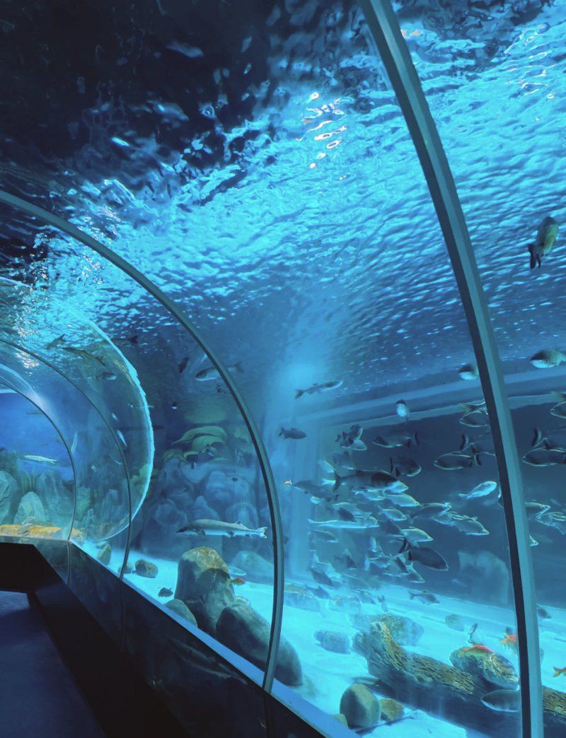 紹興水族店【紹興首座大型水族館:浙東淡水魚(yú)館】
