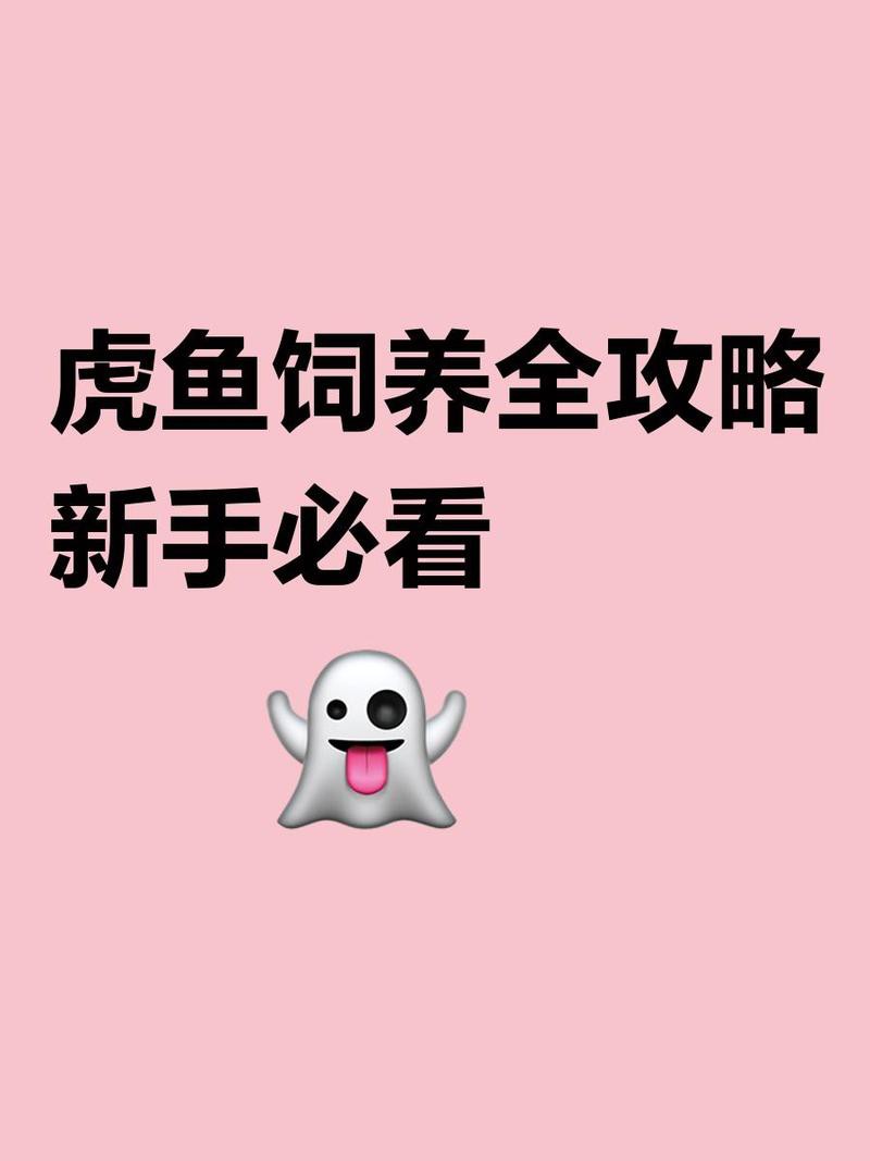 什么樣的虎魚最好，《什么樣的虎魚最好》
