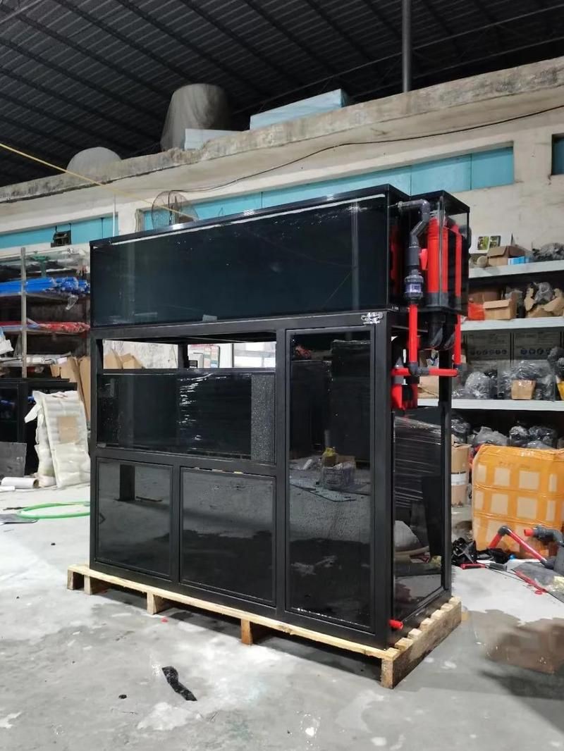 遼源魚缸定做：遼源魚缸定做助力打造空間藝術焦點 遼源魚缸定做：遼源魚缸定做助力打造空間藝術焦點 全國水族館企業名錄 第2張