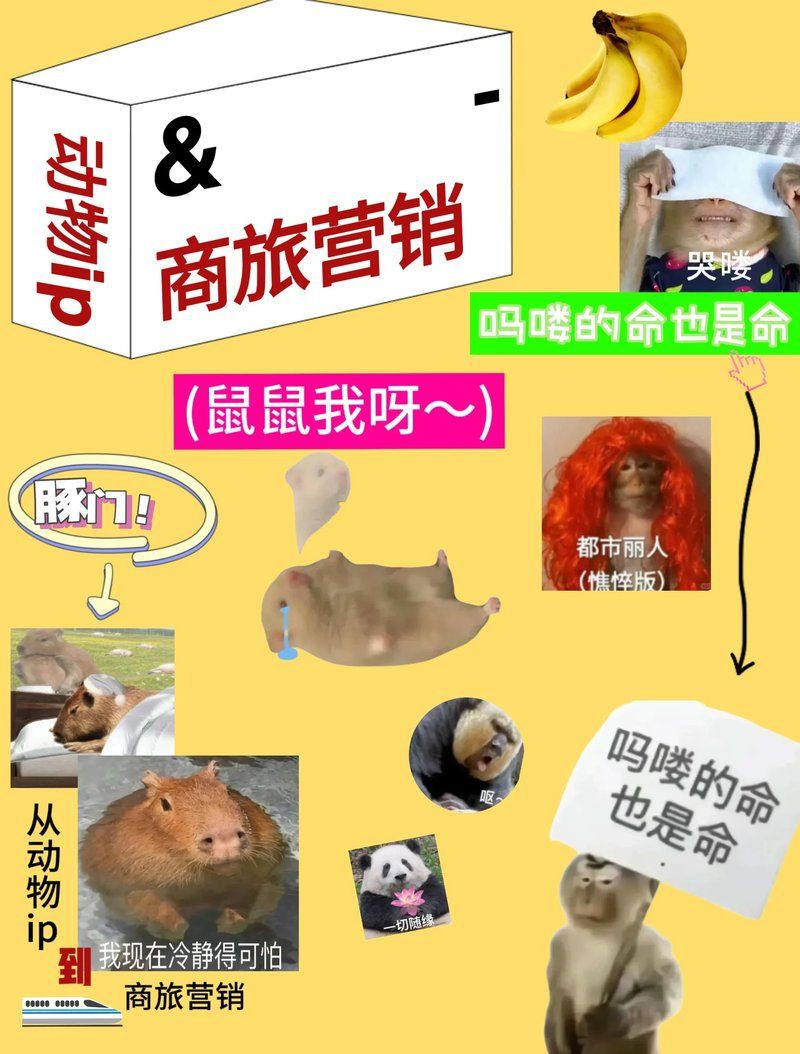梗文化如何影響動物福利？：動物福利與梗文化的關聯