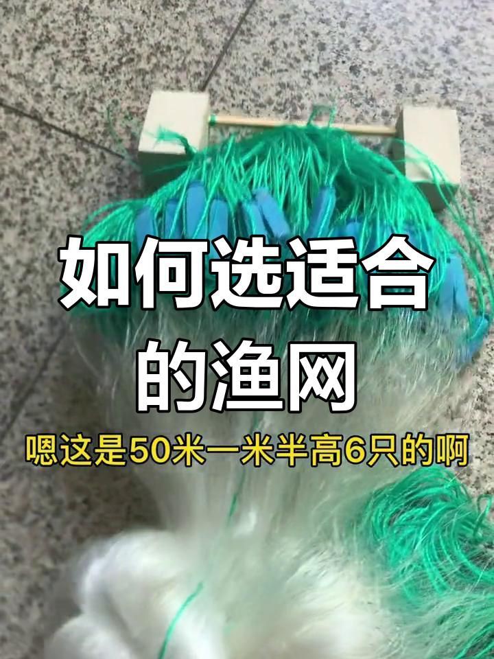 撈魚網哪種最好用：挑選好用的撈魚網需結合具體場景與需求綜合考量 撈魚網哪種最好用：挑選好用的撈魚網需結合具體場景與需求綜合考量 龍魚百科 第1張