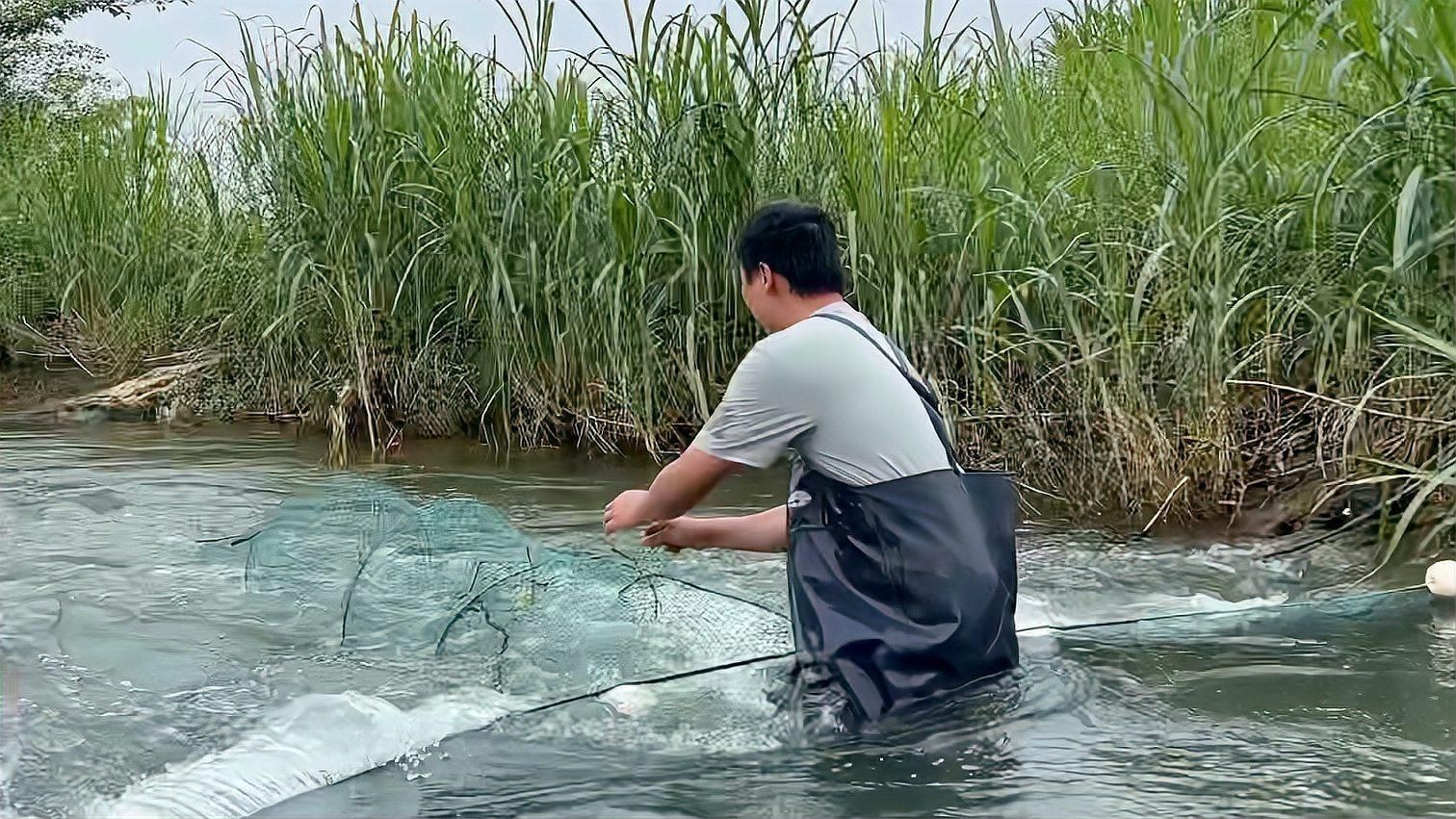 撈魚網哪種最好用：挑選好用的撈魚網需結合具體場景與需求綜合考量 撈魚網哪種最好用：挑選好用的撈魚網需結合具體場景與需求綜合考量 龍魚百科 第2張