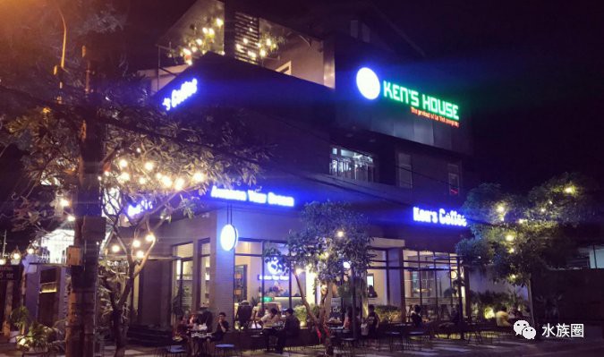 乃東水族店：乃東水族店怎么樣？