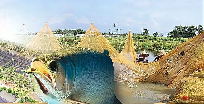 山南水族批發市場:山南地區水族批發市場 全國水族館企業名錄 第4張 山南水族批發市場:山南地區水族批發市場 山南水族批發市場:山南地區水族批發市場 全國水族館企業名錄 第4張