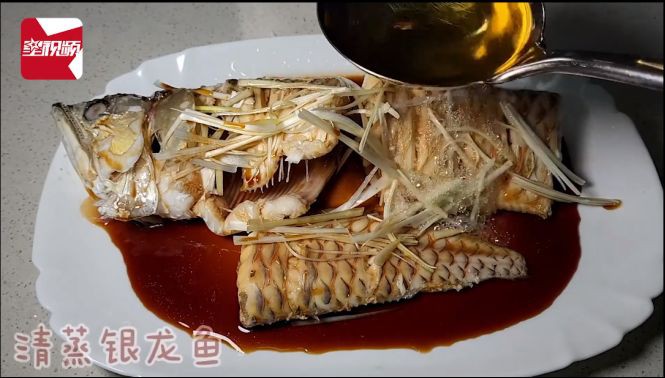 最貴的銀龍魚多少錢一條：銀龍魚價格及選購指南精神穩(wěn)定的無名鏟屎官銀龍魚價格達(dá)百萬