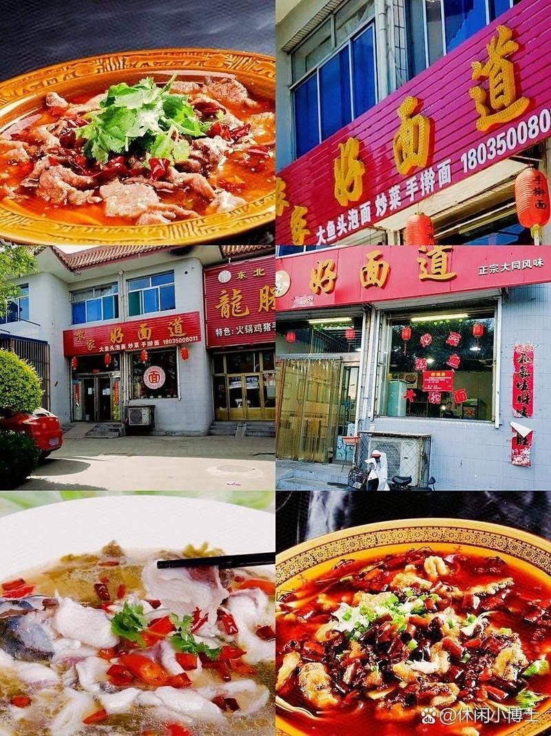代縣龍魚店：代縣有沒有龍魚專賣店