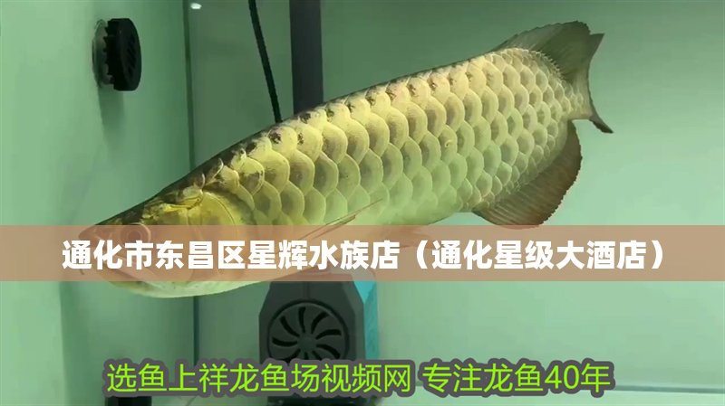 東昌水族店：通化市東昌區星輝水族店愛企查東昌區星輝水族館愛企查查