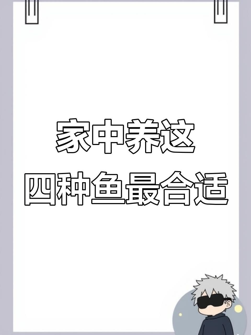 最招財的風水魚：五種最適合家養的招財風水魚，財運事業雙旺!