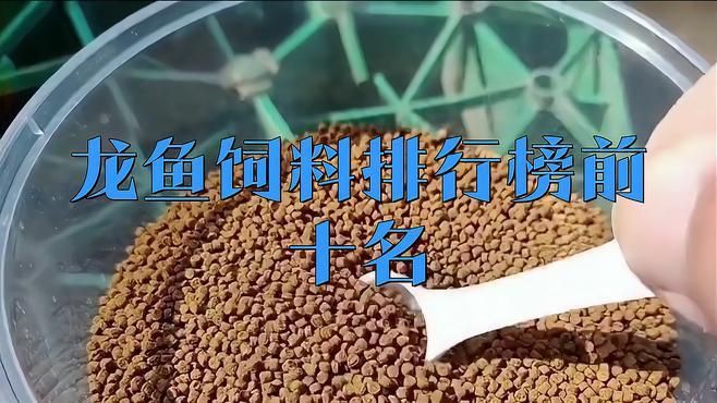 有哪些品牌龍魚飼料推薦？：2025年龍魚飼料品牌推薦 有哪些品牌龍魚飼料推薦？：2025年龍魚飼料品牌推薦 龍魚百科 第7張