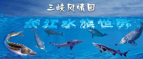 宜昌水族店：宜昌市主要水族店綜合信息