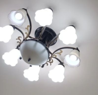 潮州水族店：關于潮州水族店的發展與現狀