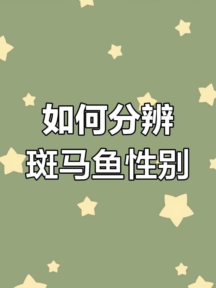 斑馬魚公母繁殖配對注意事項：斑馬魚的繁殖方法和技巧