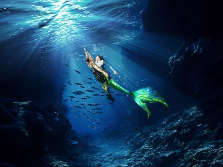 三亞水族館亞特蘭蒂斯門票：三亞亞特蘭蒂斯水族館 三亞水族館亞特蘭蒂斯門票：三亞亞特蘭蒂斯水族館 龍魚論壇 第7張