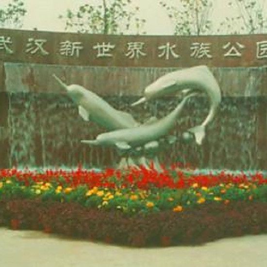 武漢水族館：武漢旅游攻略——武漢水族館