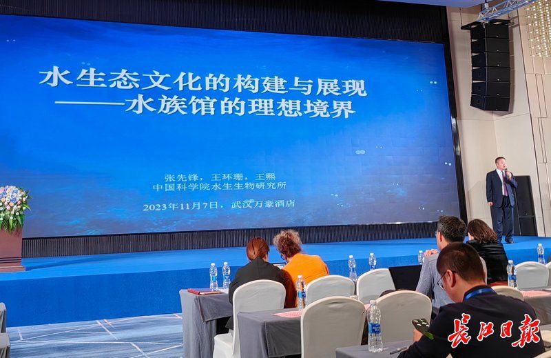 武漢水族館：武漢旅游攻略——武漢水族館