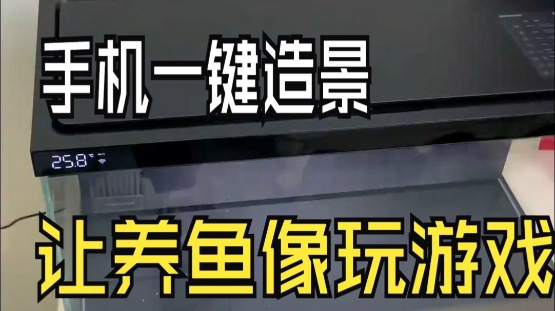 家用水族箱哪個牌子好：家用水族箱品牌綜合分析與推薦