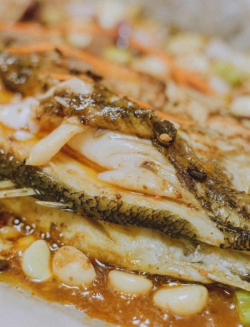 豐澤龍魚店：豐澤龍魚店哪家口碑最好