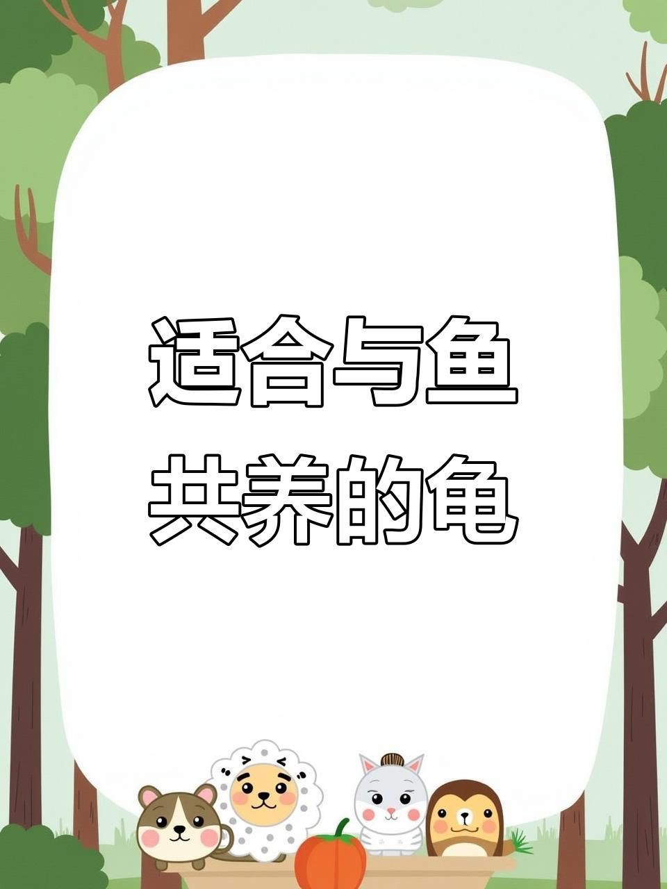 有哪些品種的烏龜適合與魚混養？：5種可以和魚混養的烏龜養魚日記養龜人