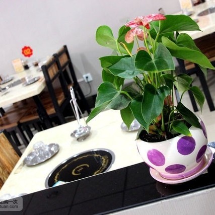 臨潼龍魚店：臨潼區(qū)龍魚店哪家口碑最好臨潼龍魚店價格是多少