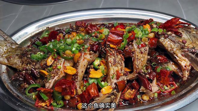 臨潼龍魚店：臨潼區(qū)龍魚店哪家口碑最好臨潼龍魚店價格是多少