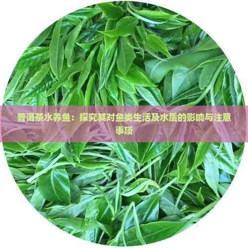 普洱魚缸維護：北海新聞網魚缸維護服務方案普洱茶養寵物魚的方法與注意事項 普洱魚缸維護：北海新聞網魚缸維護服務方案普洱茶養寵物魚的方法與注意事項 全國水族館企業名錄 第8張