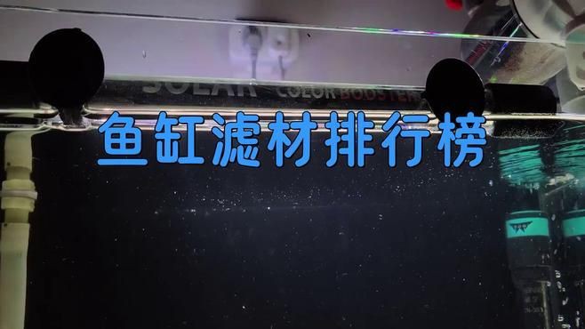 有哪些品牌的濾材口碑最好？：cineverse養魚濾材選擇大揭秘
