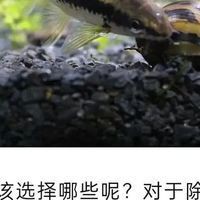 武威魚缸維護：武威魚缸全方位維護指南