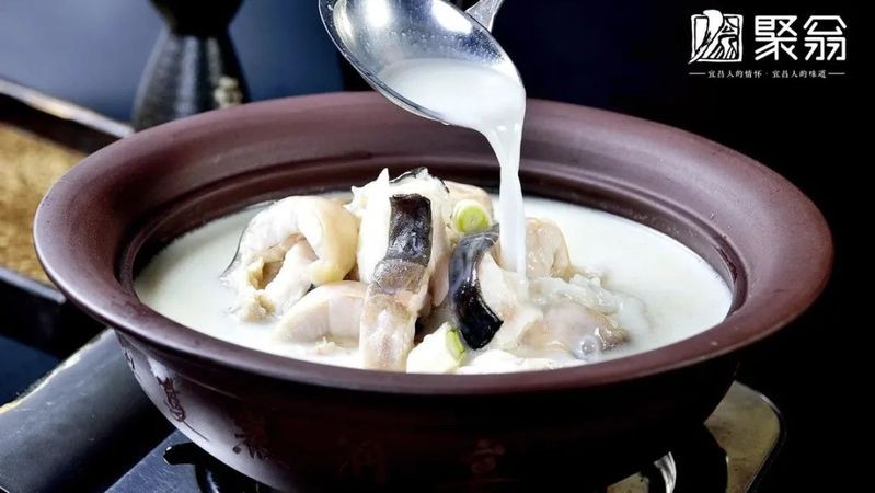 伍家崗龍魚店：伍家崗龍魚店哪家口碑最好