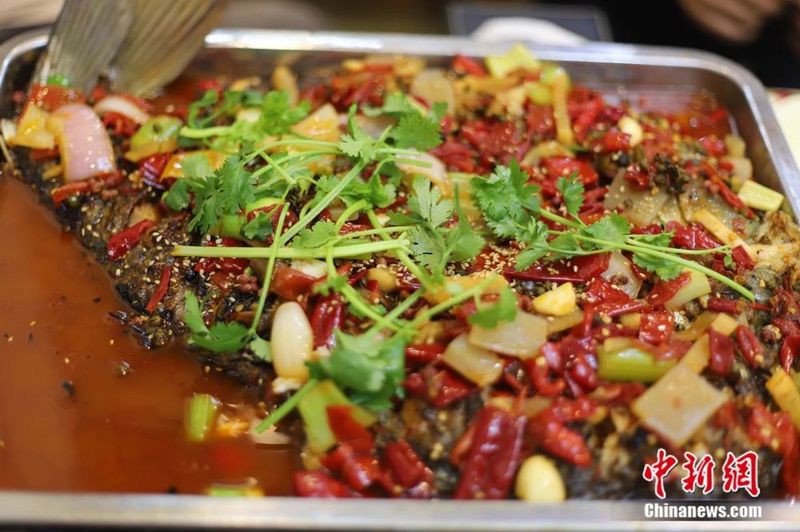 伍家崗龍魚店：伍家崗龍魚店哪家口碑最好