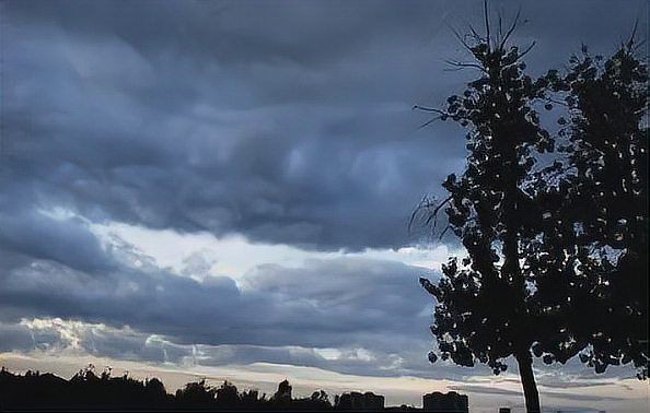 最高等級(jí)的龍是什么：中國(guó)神話體系中龍的最高等級(jí)是什么龍山海經(jīng)中有記載嗎