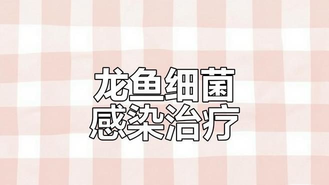 如何預防龍魚體表細菌感染？：養魚小藝，龍魚水霉病