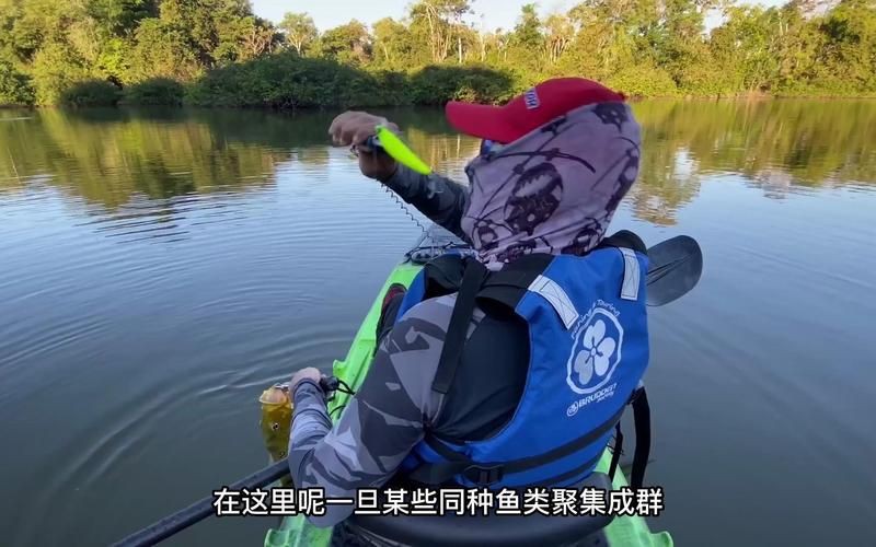 孔雀鱸魚的價值：孔雀鱸魚的營養價值及功效你了解嗎