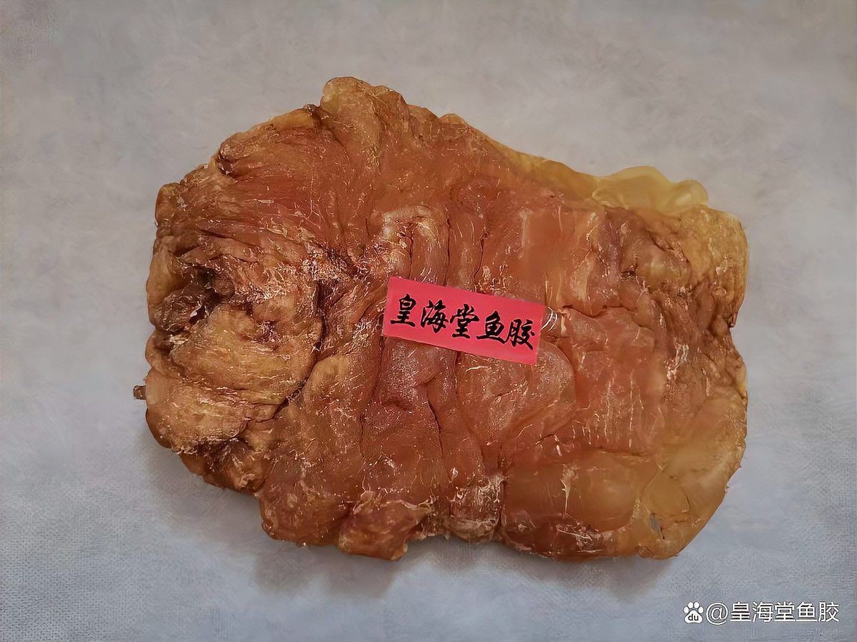 十大魚膠品種排行榜：十大魚膠品種排行榜及其核心特點揭秘35種魚膠品種