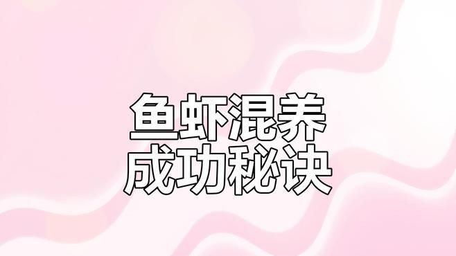 有沒有具體的混養(yǎng)案例可以分享？：鳳凰江蘇小農(nóng)場養(yǎng)了9種動物嗶哩嗶哩魚蝦混養(yǎng)成功經(jīng)驗分享 有沒有具體的混養(yǎng)案例可以分享？：鳳凰江蘇小農(nóng)場養(yǎng)了9種動物嗶哩嗶哩魚蝦混養(yǎng)成功經(jīng)驗分享 龍魚百科 第2張