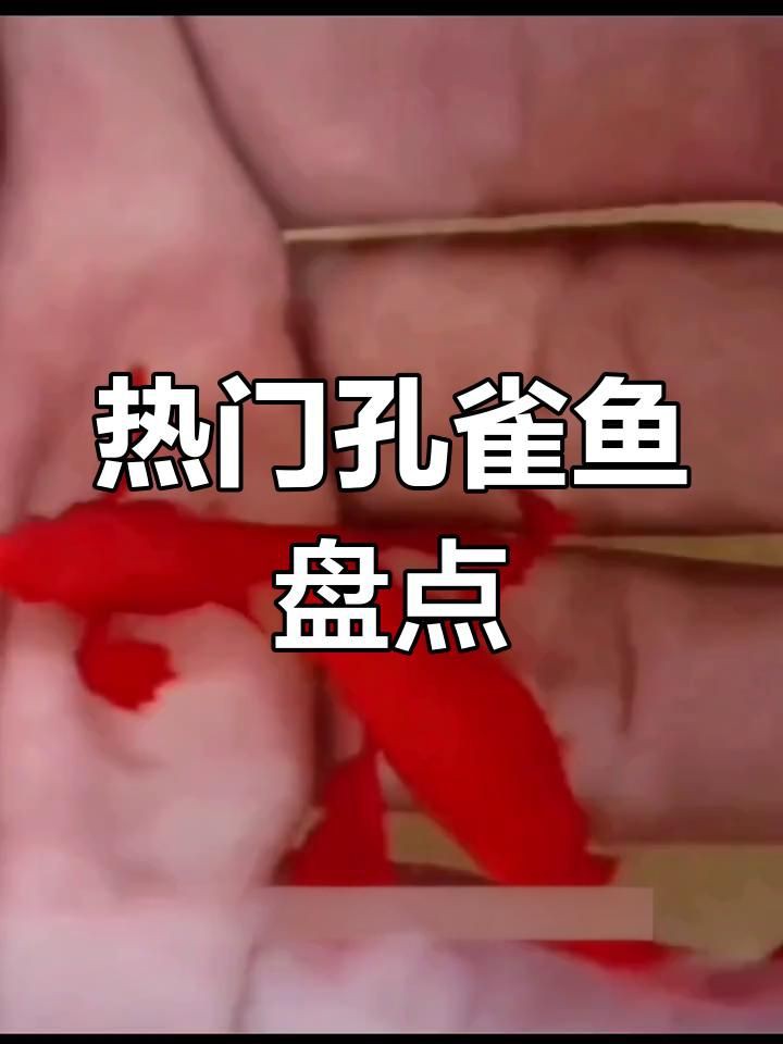 孔雀魚排名第一的品種：2021年最火孔雀魚品種大揭秘 孔雀魚排名第一的品種：2021年最火孔雀魚品種大揭秘 龍魚百科 第2張