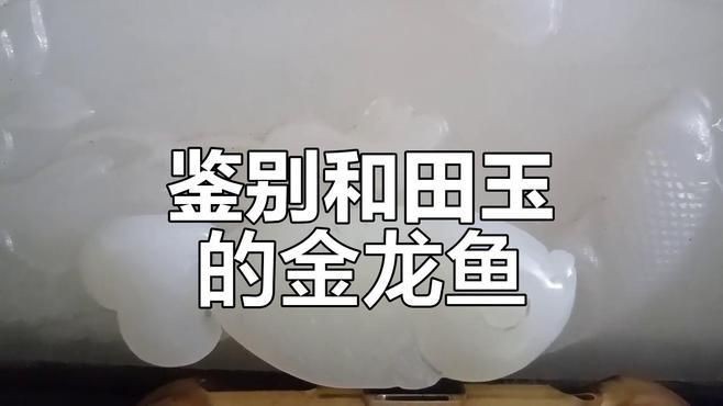 如何辨別真假雕刻金龍魚？：如何辨別真假金龍魚 如何辨別真假雕刻金龍魚？：如何辨別真假金龍魚 龍魚百科 第1張