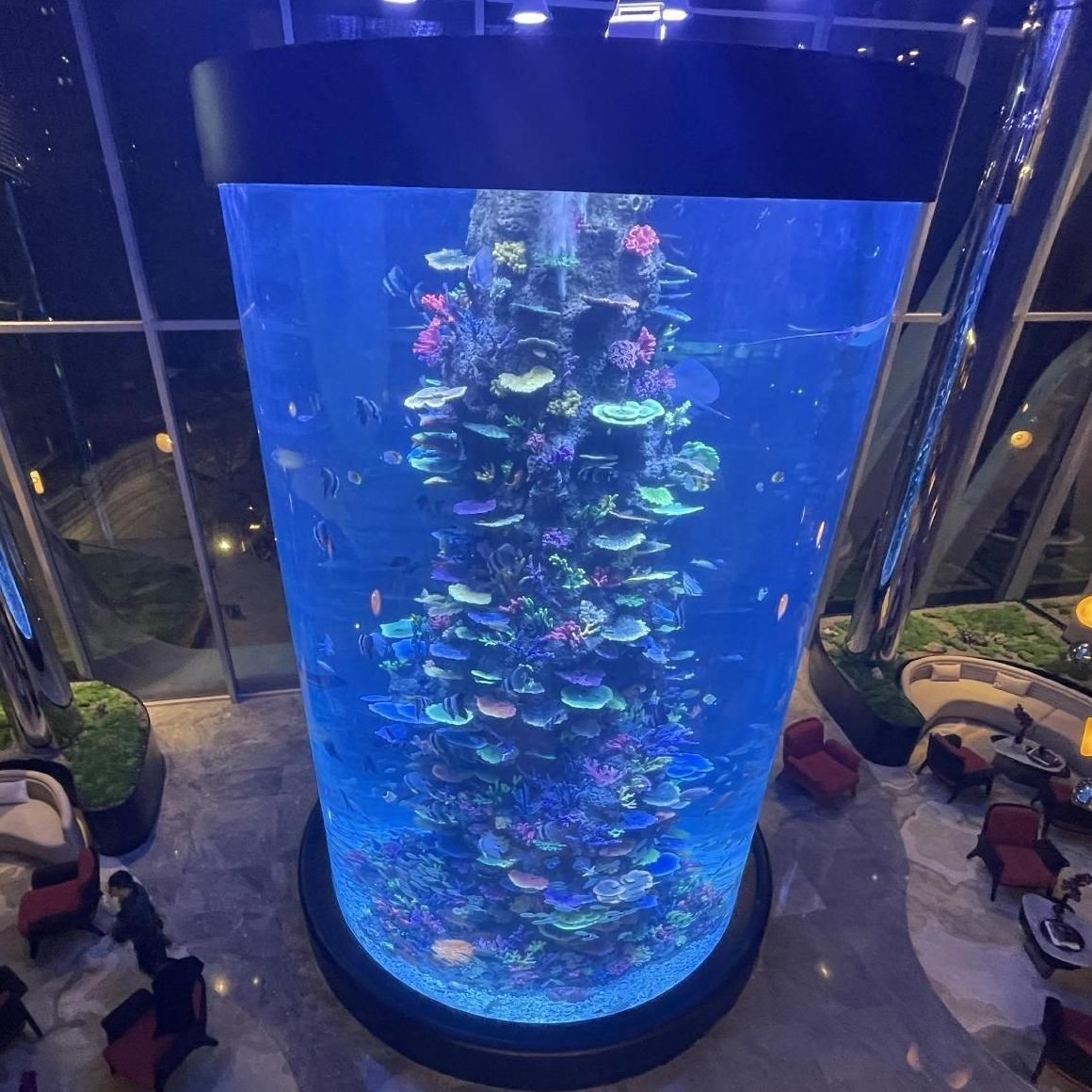 漯河魚缸定做：關(guān)于漯河地區(qū)魚缸定做的綜合指南，結(jié)合行業(yè)標(biāo)準(zhǔn)和定制要點