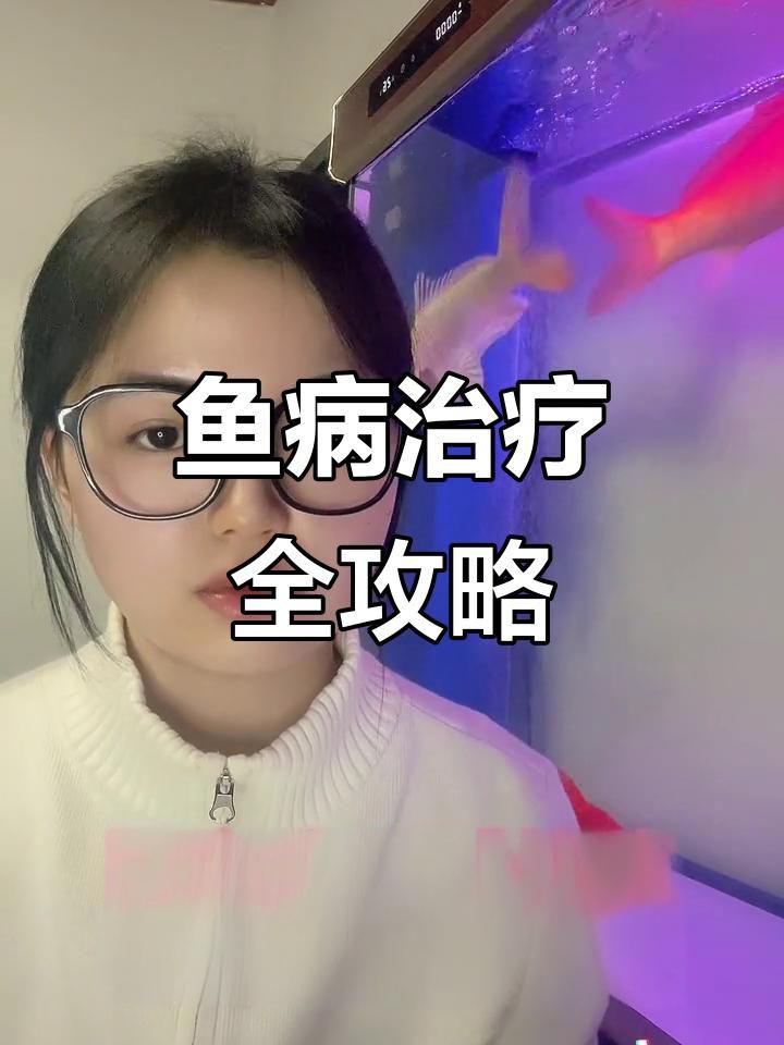 如何預防和治療魚真菌感染？：智能模式回答完成調用工具：百度健康以下是關于魚類真菌感染的預防和治療指南