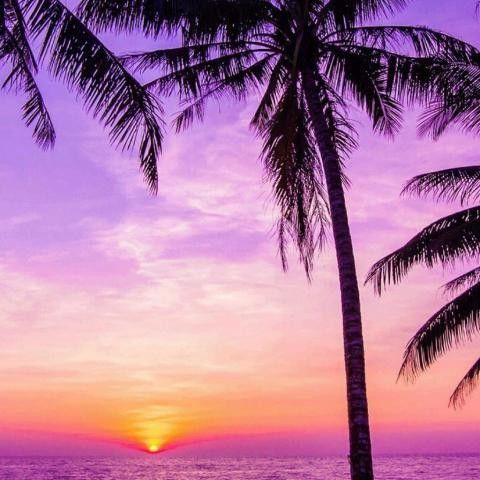 濟南水族館：探秘濟南水族世界：一場引來數百條黃金[需手動填充],魚群跨來數百條奇幻之旅