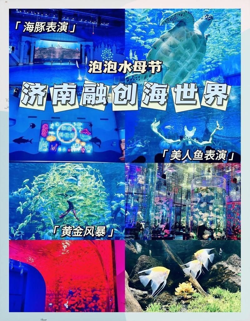 濟南水族館：探秘濟南水族世界：一場引來數百條黃金[需手動填充],魚群跨來數百條奇幻之旅
